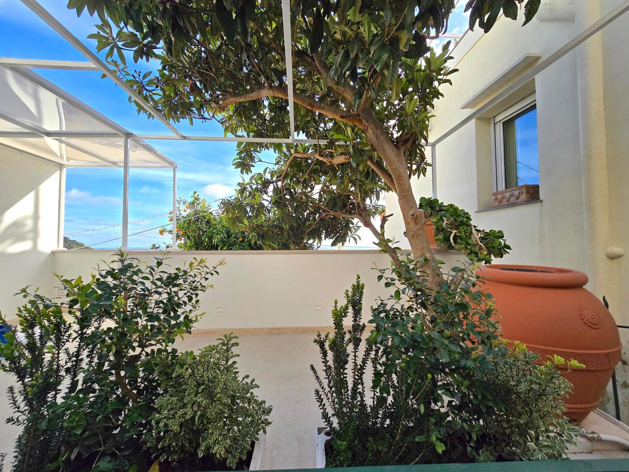 Sopramonte Exclusive Rooms Capri Eksteriør billede